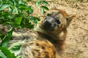 Nabídka Práce Dvůr Králové