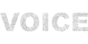 Scitani Hlasu